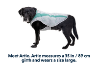 Thumbnail for Ruffwear Swamp Cooler Cooling Dog Vest - Graphite Gray X-Small