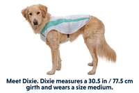 Thumbnail for Ruffwear Swamp Cooler Cooling Dog Vest - Graphite Gray X-Small