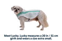 Thumbnail for Ruffwear Swamp Cooler Cooling Dog Vest - Graphite Gray X-Small