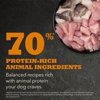 Thumbnail for Acana Puppy Large Breed Recipe Dry Dog Food - 11.4KG