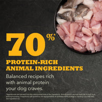 Thumbnail for Acana Puppy Recipe Medium Breed Dry Dog Food -