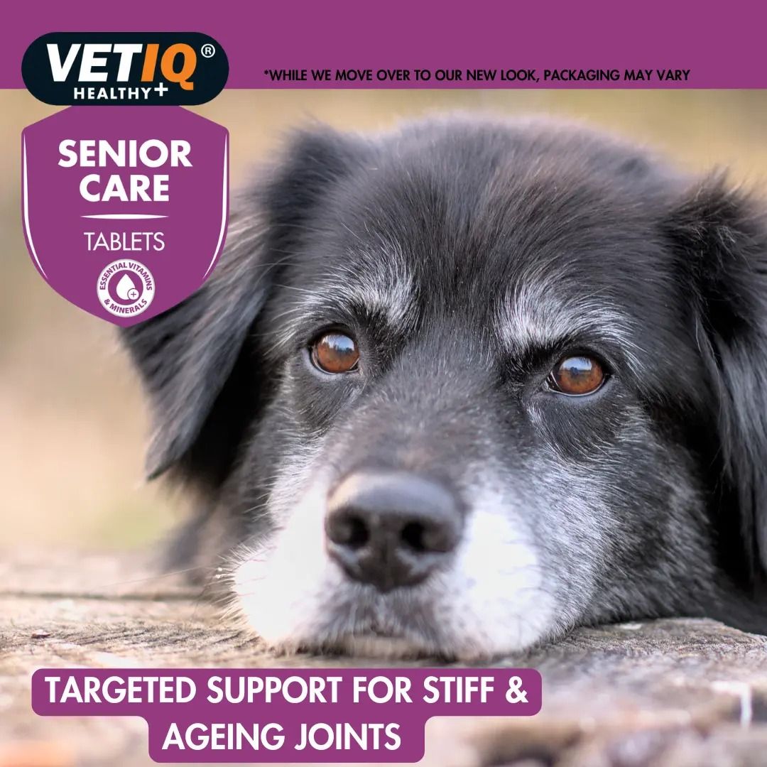 VETIQ Senior Care for Cats & Dogs 45 Tablets -
