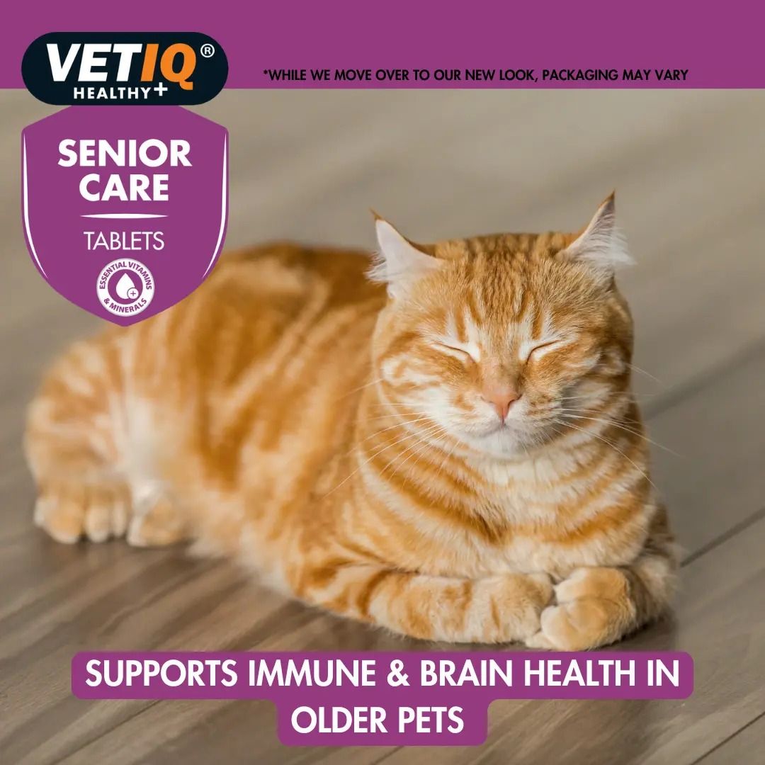 VETIQ Senior Care for Cats & Dogs 45 Tablets -