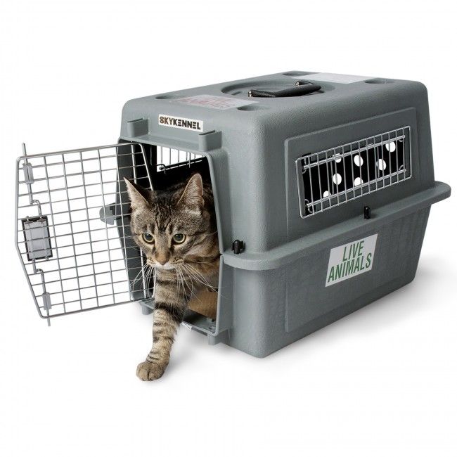 Petmate Sky Kennel Dog Crate - Small