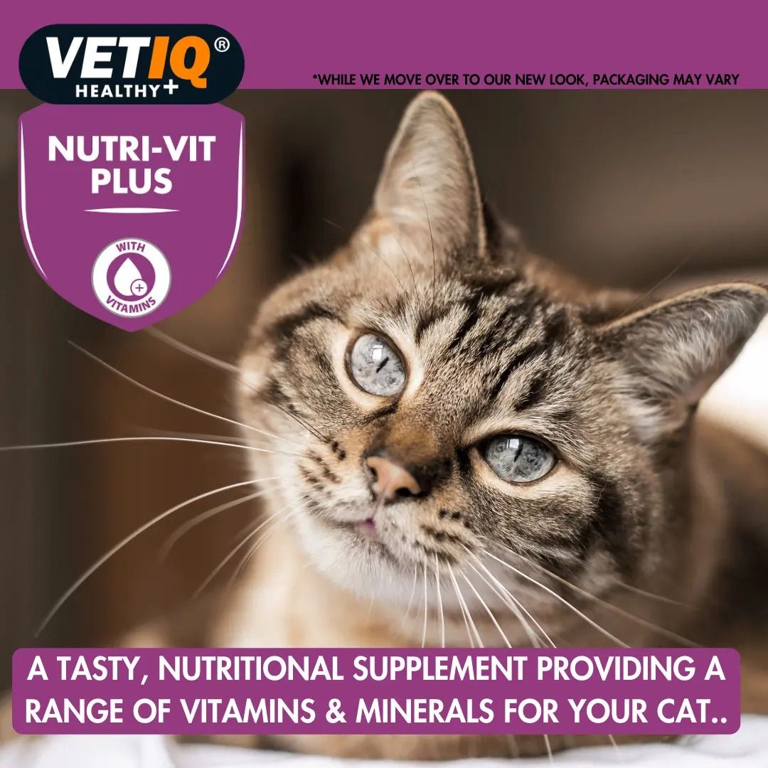 VETIQ Nutri-Vit Plus Cat Supplement 70g - 70g