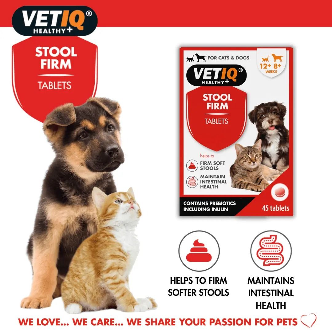 VETIQ Stool Firm for Cats & Dogs 45 Tablets -