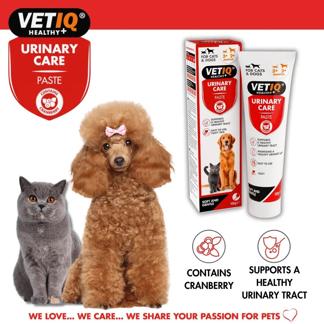 VETIQ Urinary Care Cats & Dogs Paste 100g - 100g
