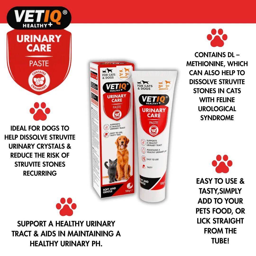 VETIQ Urinary Care Cats & Dogs Paste 100g - 100g