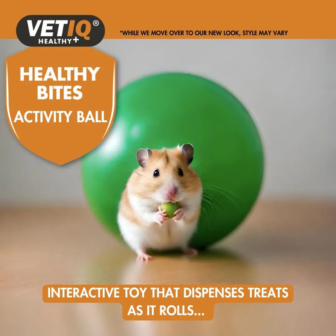 VETIQ Healthy Bites Activity Ball For Small Animals -