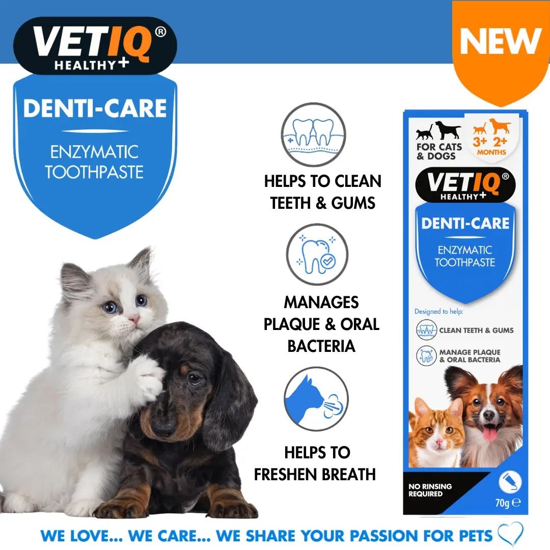 VETIQ Denti-Care Cat & Dog Enzymatic Toothpaste 70g - 70g
