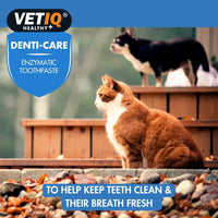 VETIQ Denti-Care Cat & Dog Enzymatic Toothpaste 70g - 70g