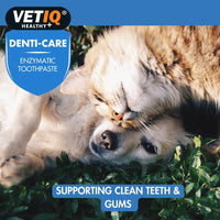 VETIQ Denti-Care Cat & Dog Enzymatic Toothpaste 70g - 70g