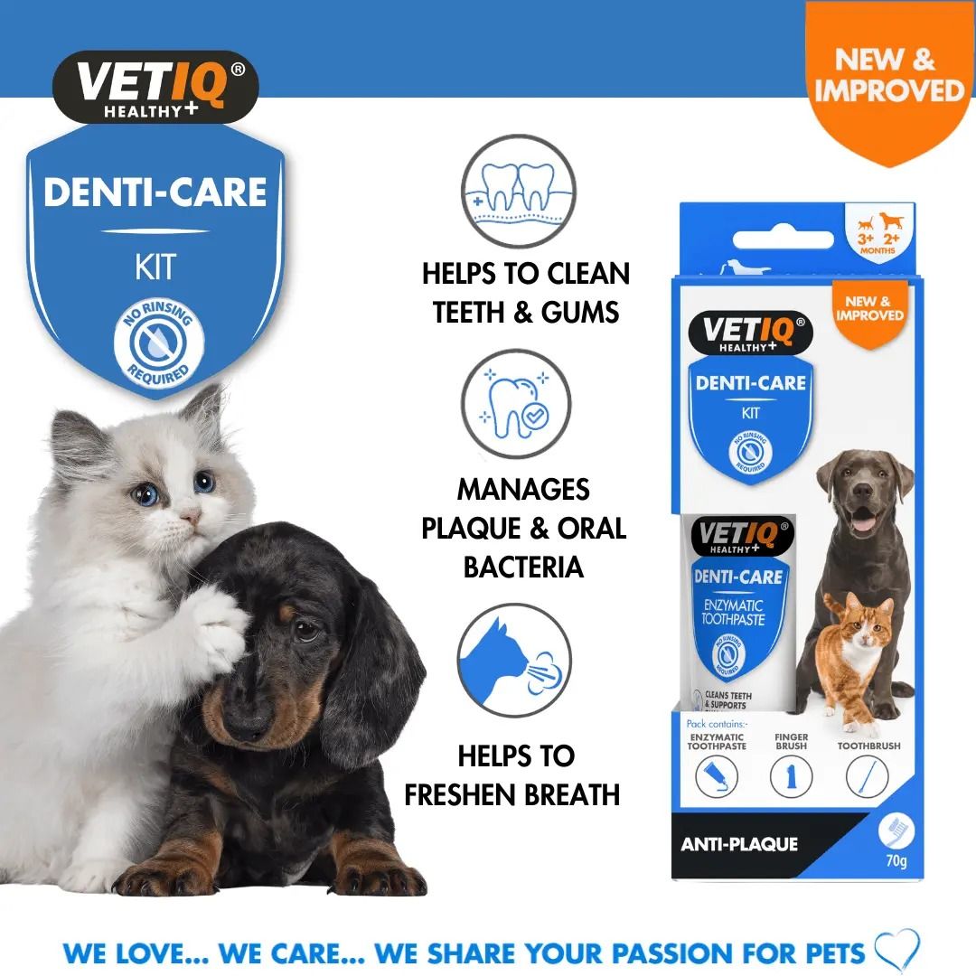 VETIQ Denti-Care Kit for Cats & Dogs Hygiene 70g - 70g