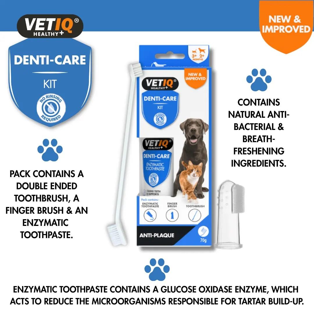 VETIQ Denti-Care Kit for Cats & Dogs Hygiene 70g - 70g