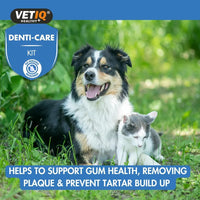 VETIQ Denti-Care Kit for Cats & Dogs Hygiene 70g - 70g