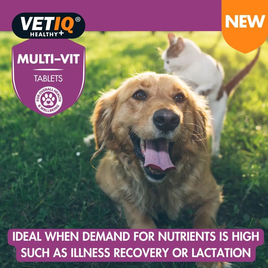 VETIQ Multi-Vit Cat & Dog Supplement 45 Tablets -