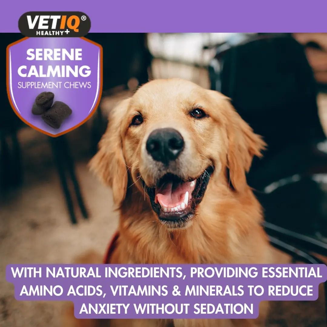 VETIQ Serene Calming Dog Supplement Chews 230g - 230g
