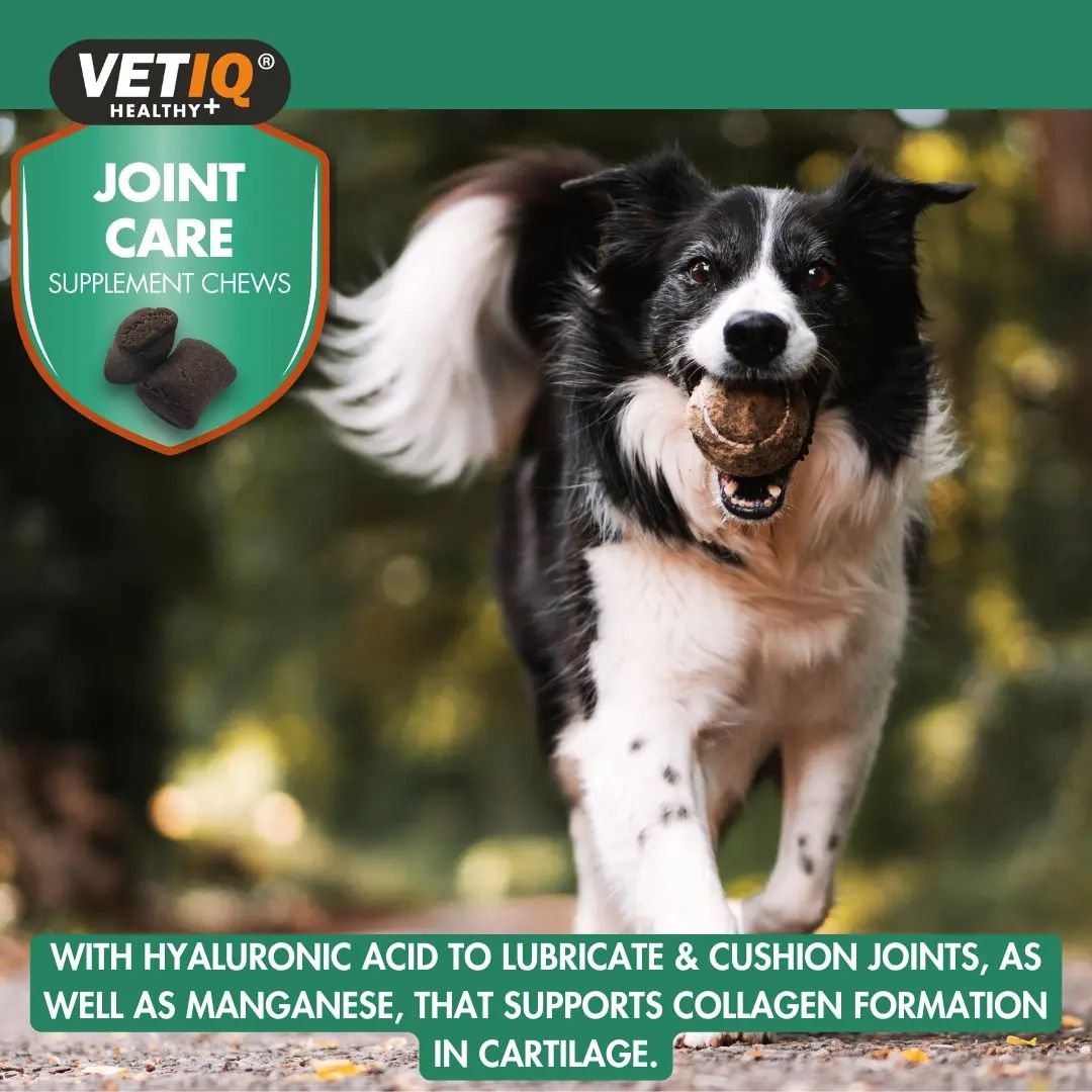 VETIQ Joint Care Dog Supplement Chews 230g - 230g