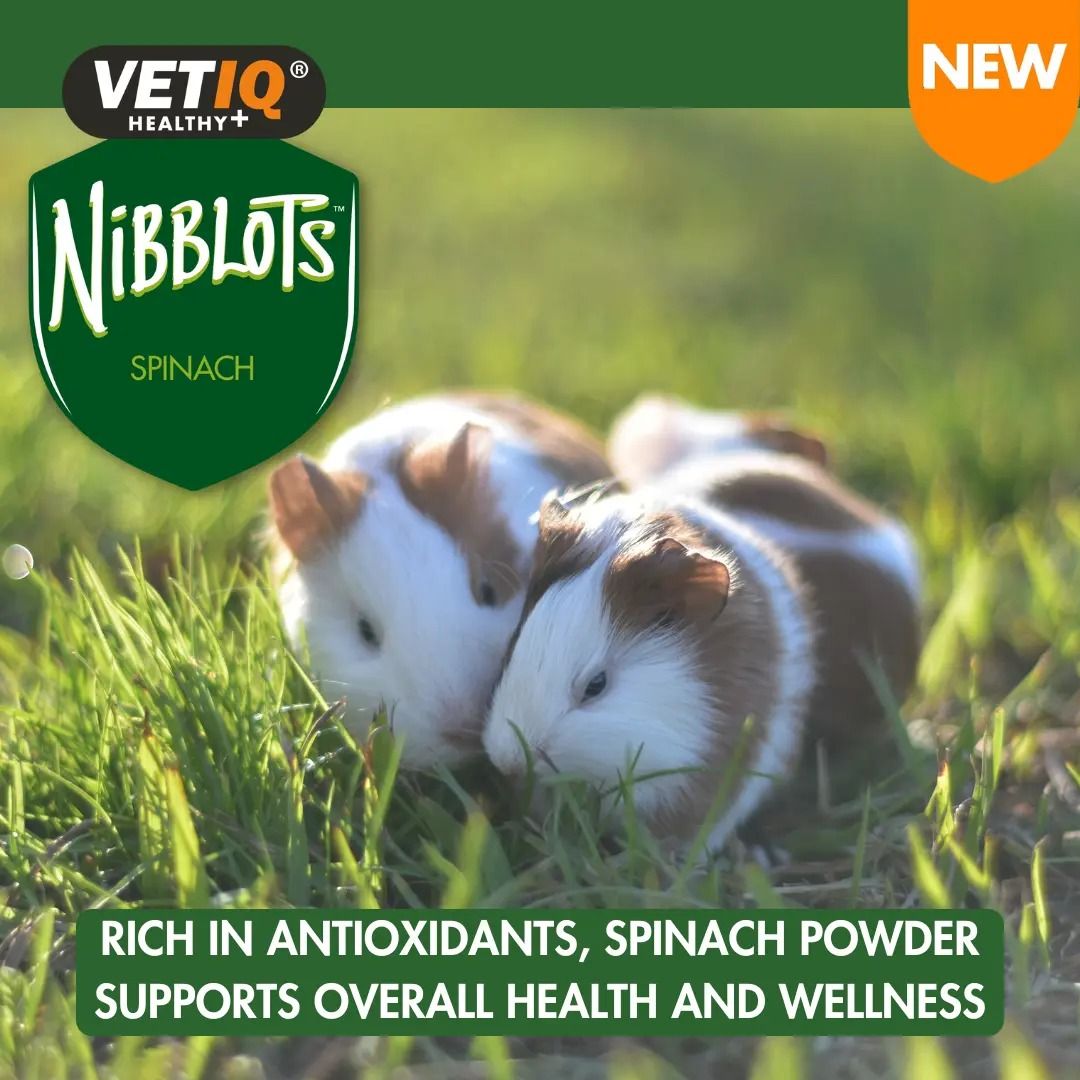 VETIQ Nibblots Spinach Small Animal Treats 30g - 30g