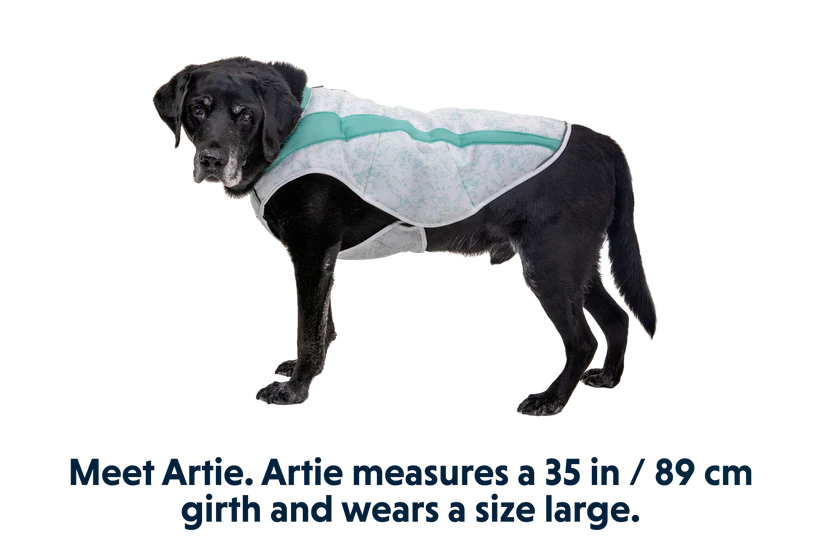 Ruffwear Swamp Cooler Cooling Dog Vest - GREEN X-Small