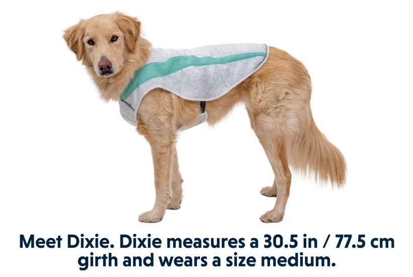 Ruffwear Swamp Cooler Cooling Dog Vest - GREEN X-Small