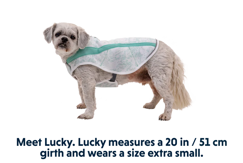 Ruffwear Swamp Cooler Cooling Dog Vest - Grey XX-Small