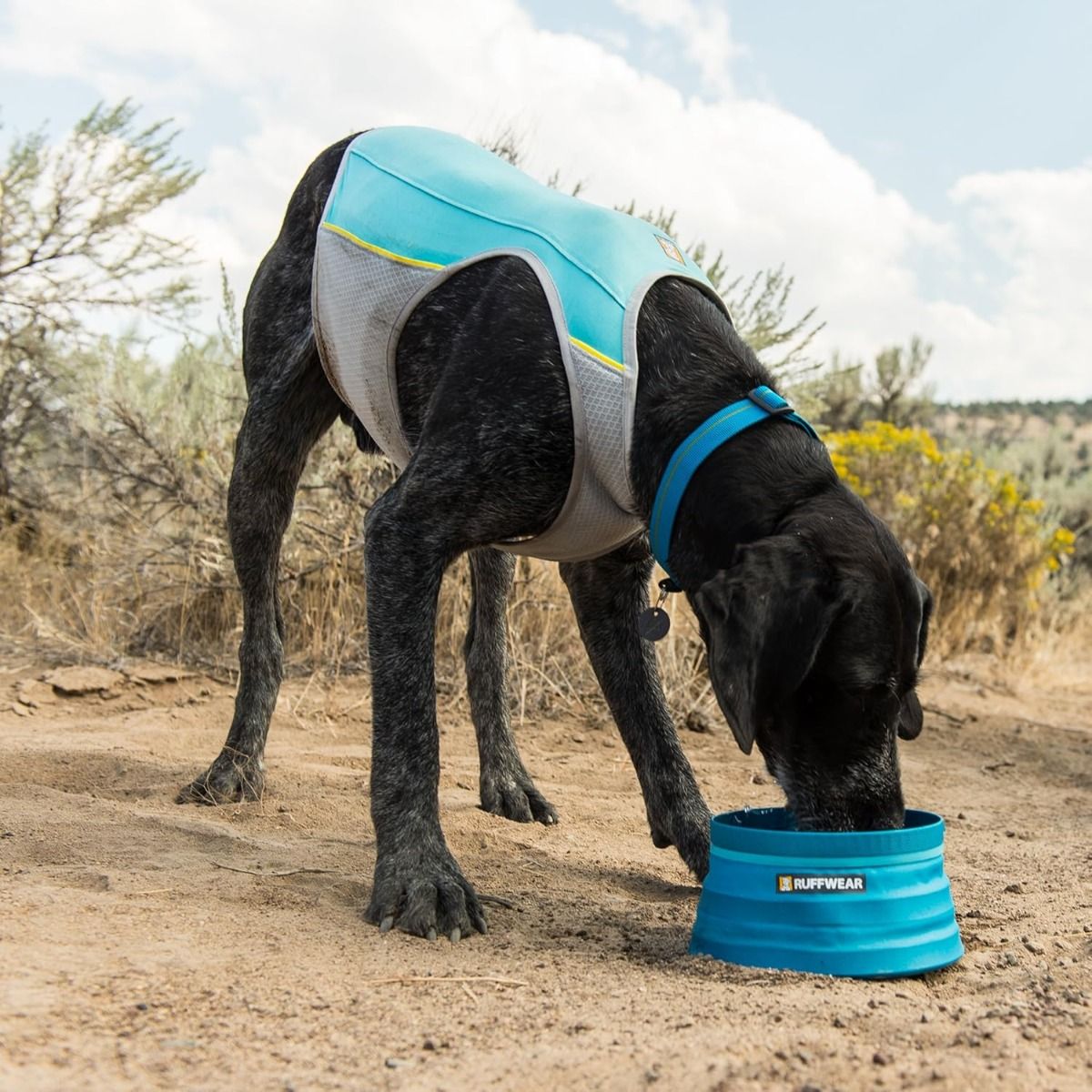 Ruffwear Jet Stream Dog Cooling Vest - Blue X-SMALL