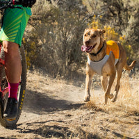 Ruffwear Jet Stream Dog Cooling Vest - Blue XXS