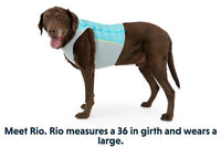 Thumbnail for Ruffwear Jet Stream Dog Cooling Vest - ORANGE Small