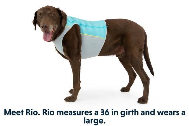 Ruffwear Jet Stream Dog Cooling Vest - BLUE Small
