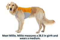 Thumbnail for Ruffwear Jet Stream Dog Cooling Vest - BLUE XS