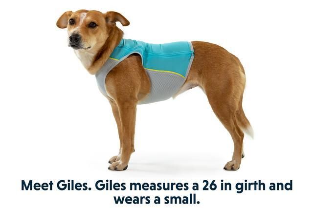 Ruffwear Jet Stream Dog Cooling Vest - ORANGE XS