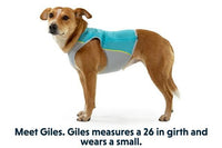 Thumbnail for Ruffwear Jet Stream Dog Cooling Vest - ORANGE XS