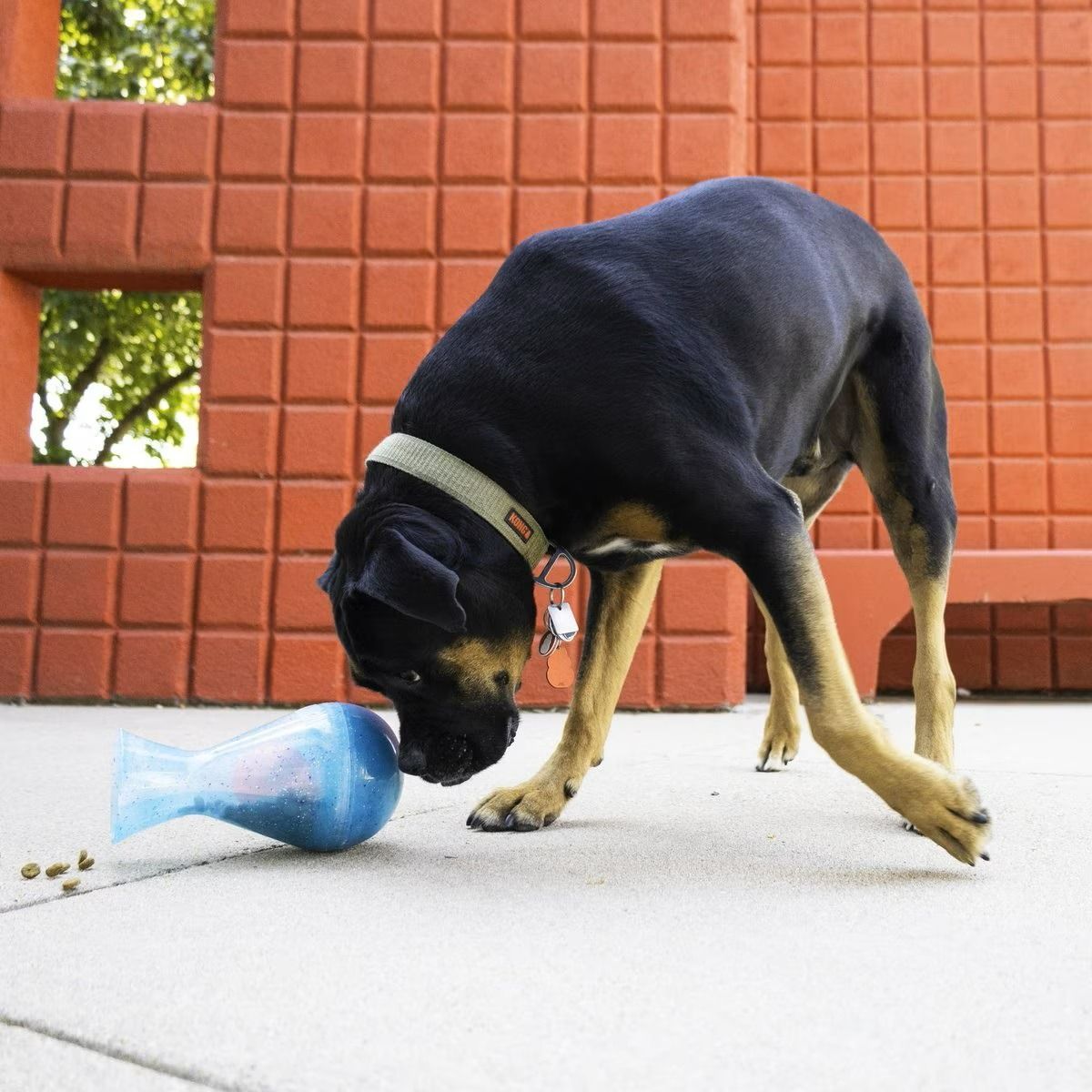 Kong Rewards Tipsy Interactive Dispenser Dog Toy - Large