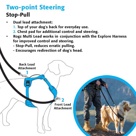 Rogz Explore Dog Harness - Dayglo Small