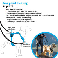 Thumbnail for Rogz Explore Dog Harness - BLUE Small
