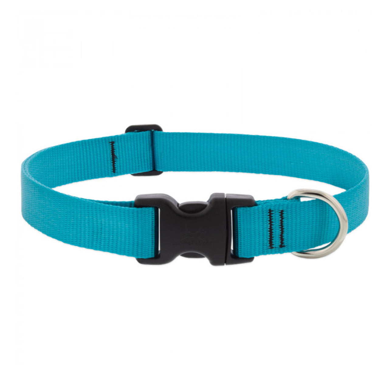 BASICS Adjustable Collar AQUA 1″ FOR LARGE DOGS - 12"-20"