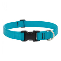 Thumbnail for BASICS Adjustable Collar AQUA 1″ FOR LARGE DOGS - 12