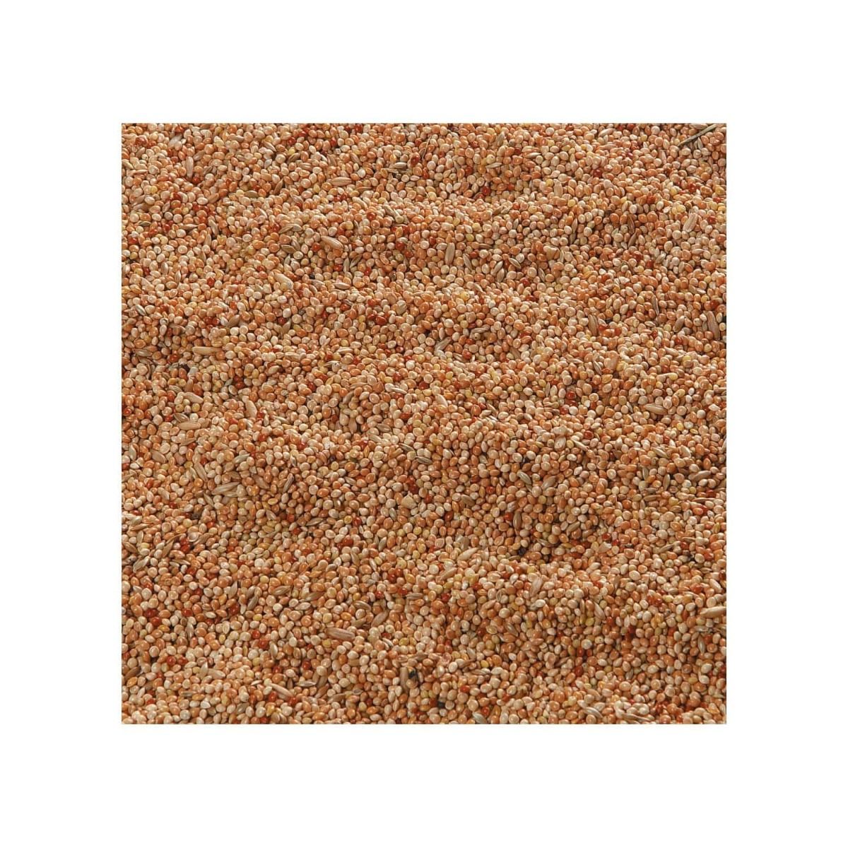 Flamingo Parakeet Bird Food 1kg - 1kg