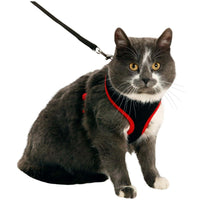 Thumbnail for Flamingo Harms Cat Harness & Leash Red & Black - Medium