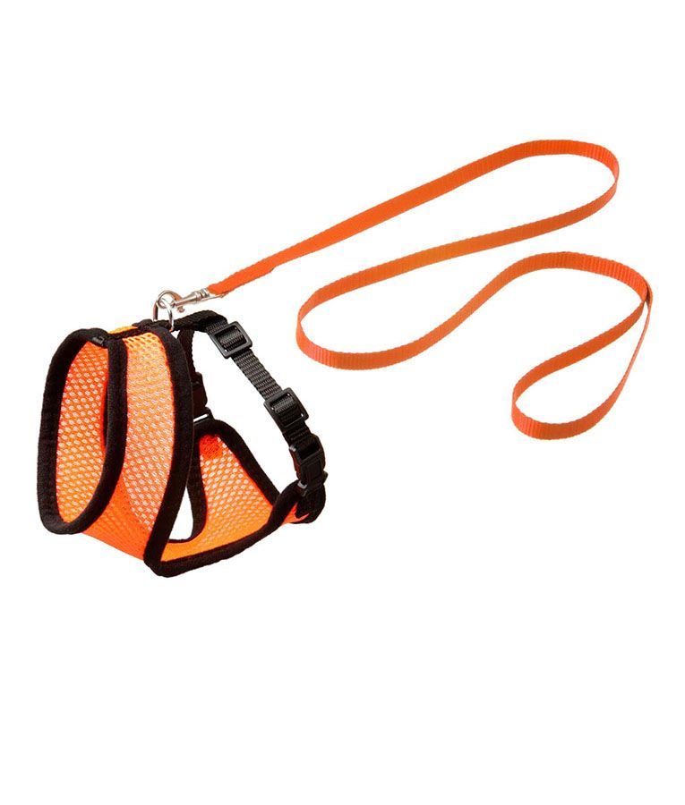 Flamingo Harms Kitten Harness & Leash Red & Black - ORANGE 108cm