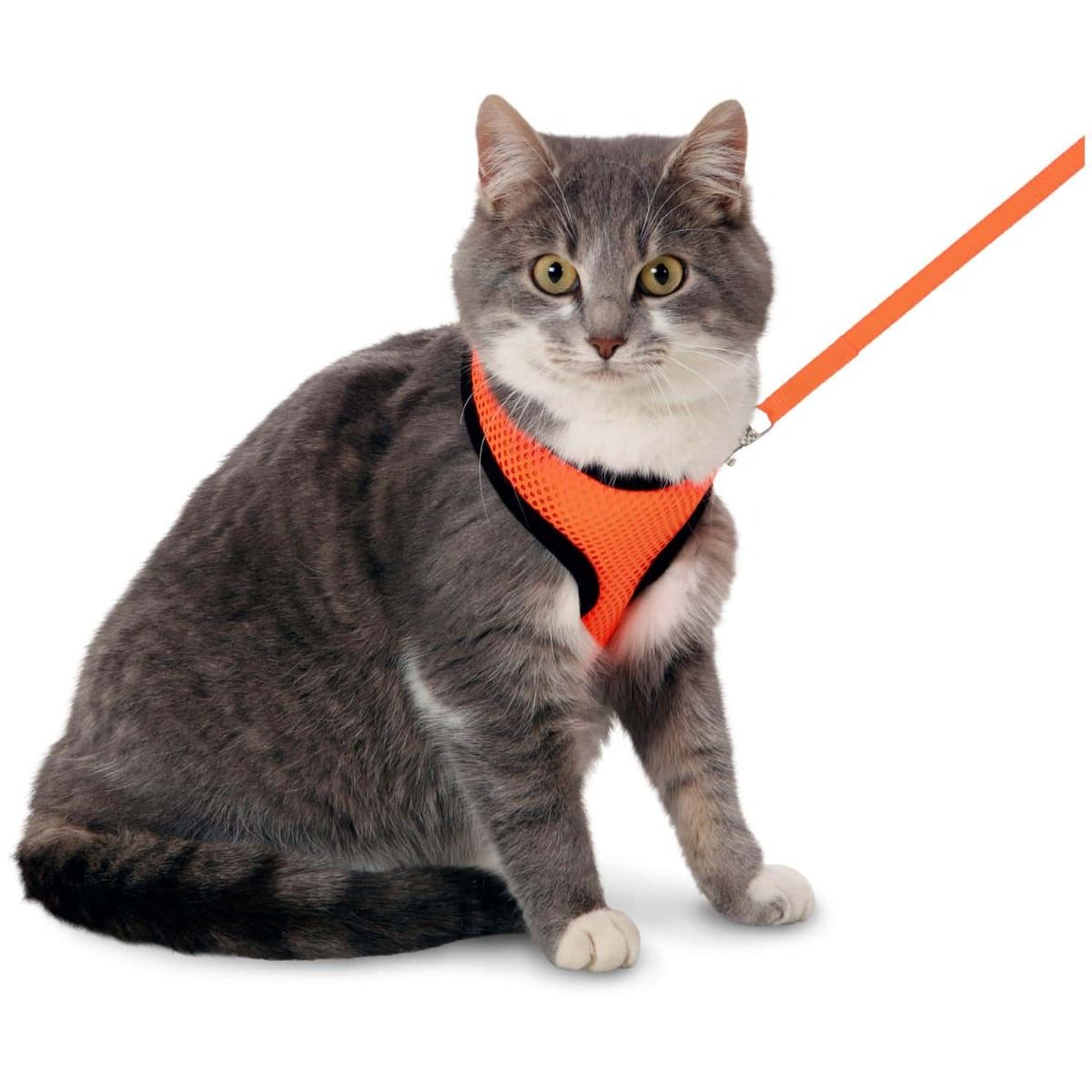 Flamingo Harms Cat Harness & Leash Orange & Black - ORANGE Medium