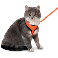 Thumbnail for Flamingo Harms Cat Harness & Leash Orange & Black - ORANGE Medium