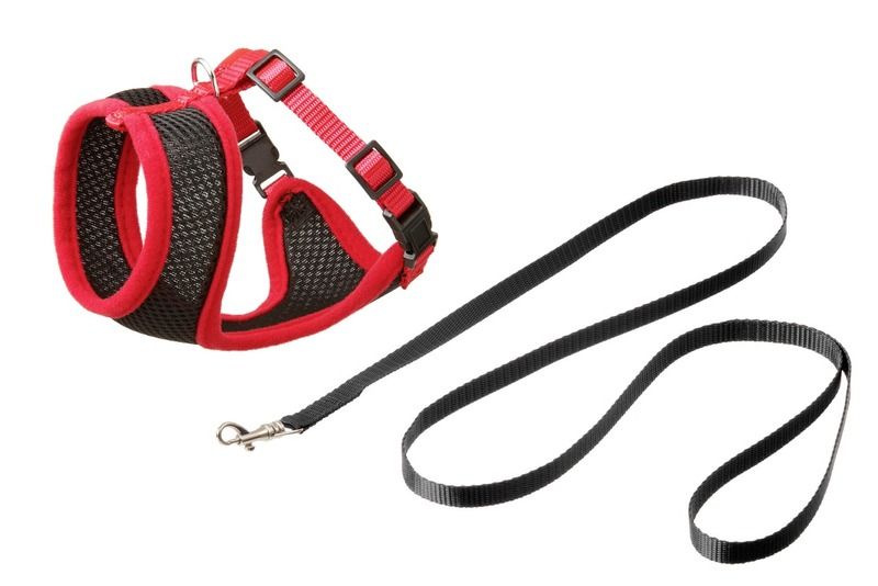 Flamingo Harms Kitten Harness & Leash Red & Black - ORANGE 108cm