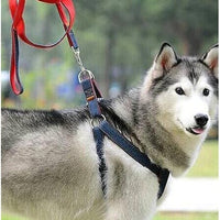 Dog Leash Harness Adjustable & Durable Leash Set & Heavy Duty Denim Dog Leash Collar - red - medium