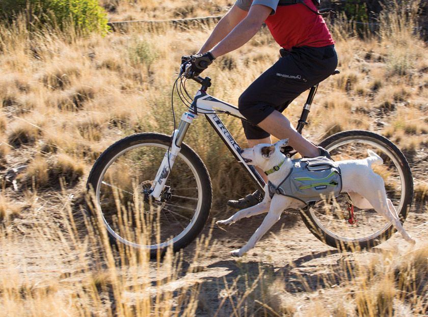Ruffwear Singletrak Hydration Pack with Built-In Dog Harness - M