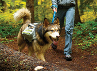 Thumbnail for Ruffwear Singletrak Hydration Pack with Built-In Dog Harness - M