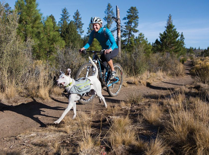 Ruffwear Singletrak Hydration Pack with Built-In Dog Harness - M