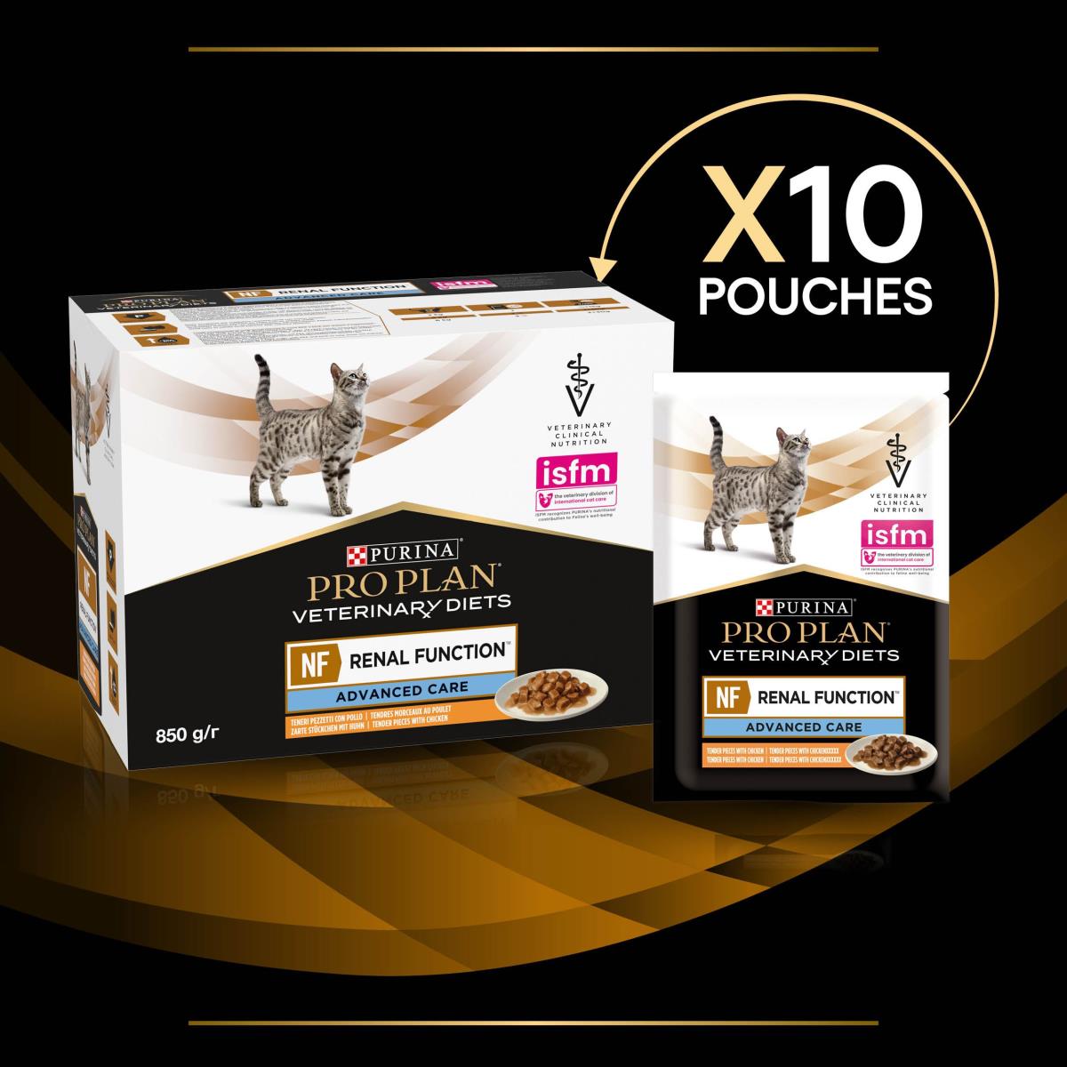 PPVD FELINE RENAL CIG SALMON WET