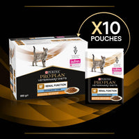 PPVD FELINE RENAL CIG SALMON WET